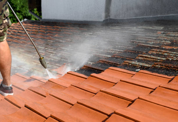 Best Commercial Building Pressure Washing  in Evergreen, AL