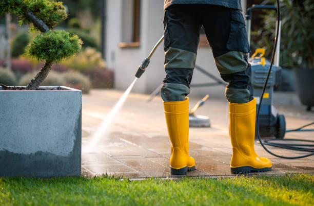 Best Deck Cleaning Services  in Evergreen, AL